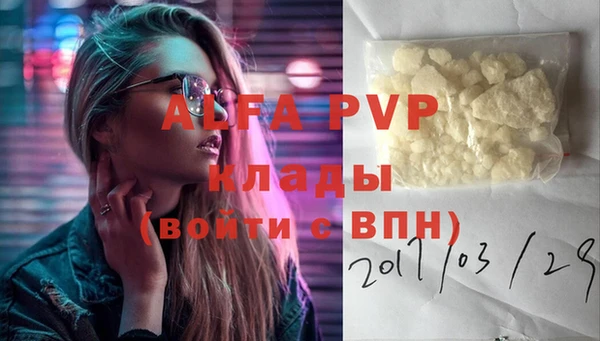 крисы Алзамай